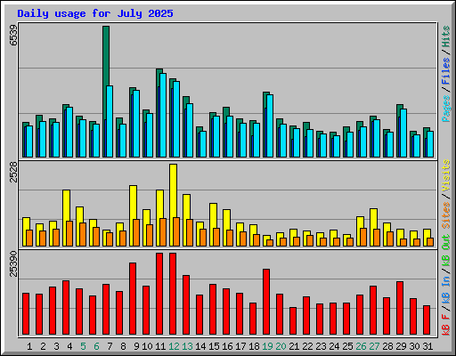 Daily usage for July 2025