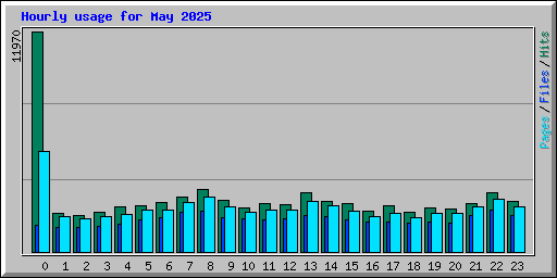 Hourly usage for May 2025