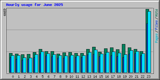 Hourly usage for June 2025