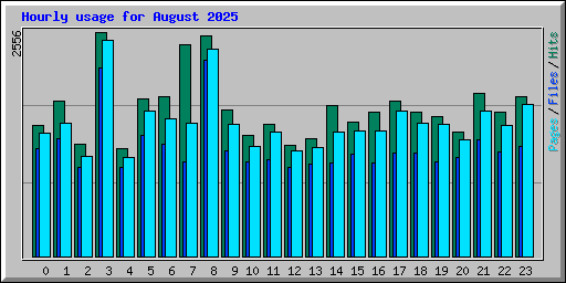 Hourly usage for August 2025