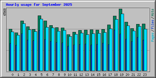 Hourly usage for September 2025