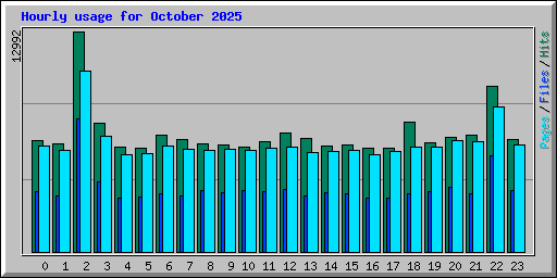 Hourly usage for October 2025